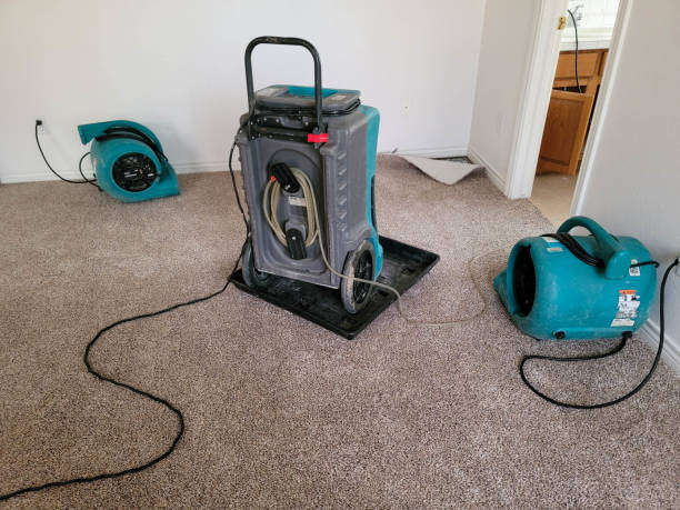 Best Water damage restoration near me  in Donalsonville, GA