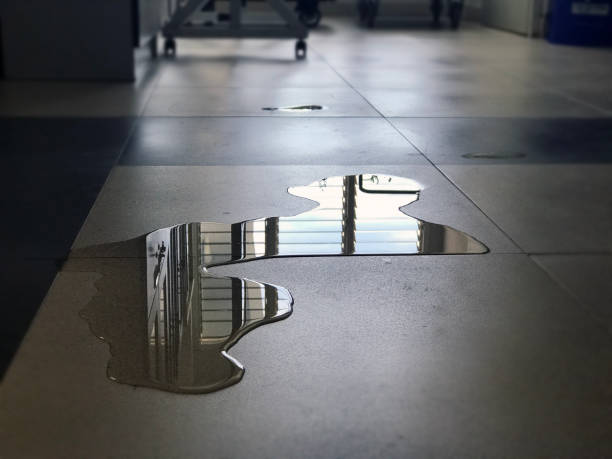 Best Commercial water damage restoration  in Donalsonville, GA