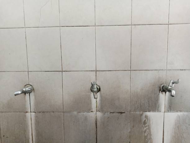 Best Emergency water extraction  in Donalsonville, GA