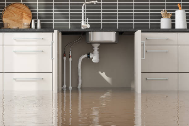 Best Water damage restoration mold remediation  in Donalsonville, GA